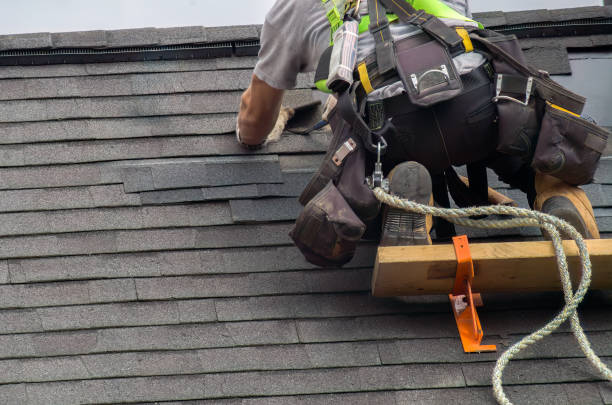 Roof Gutter Cleaning in Cutler, CA